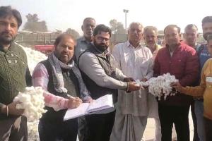 फाजिल्का मंडी में कपास की सरकारी खरीदी शुरू