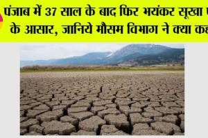 Punjab Weather: पंजाब में 37 साल के बाद फिर भयंकर सूखा पड़ने के आसार, जानिये मौसम विभाग ने क्या कहा…