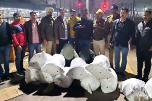 त्रिपुरा से पार्सल से भेज रहे थे गांजा, दिल्ली रेलवे स्टेशन पर 1 क्विंटल 32 किलो गांजा बरामद