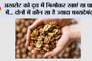 Walnuts Benefits: अखरोट को दूध में भिगोकर खाएं या पानी में… दोनों में कौन सा है ज्यादा फायदेमंद, यहां पढ़ें पूरी डिटेल..