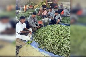 Adani Group in Mahakumbh: अदाणी ग्रुप ने 5,000 से अधिक कर्मचारी सेवा में लगाए!