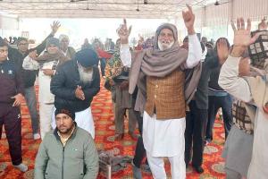 MSG Bhandara Month: ऐलनाबाद की साध-संगत ने नाच गाकर मनाई जन्म माह की खुशी