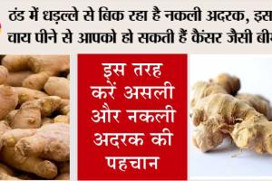 Fake Ginger: ठंड में धड़ल्ले से बिक रहा है नकली अदरक, इसकी चाय पीने से आपको हो सकती हैं कैंसर जैसी बीमारी, इस तरह करें असली और नकली अदरक की पहचान