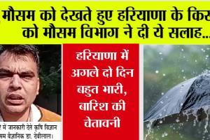 Haryana Weather: मौसम को देखते हुए हरियाणा के किसानों को मौसम विभाग ने दी ये सलाह…
