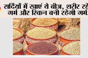 Health News: सर्दियों में खाएं ये बीज, शरीर रहेगा गर्म और स्किन बनी रहेगी गर्म…