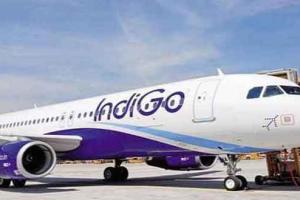 Flights Cancelled Today: पुरानी परंपरा ने थामी इंडिगो की उड़ानें! ये तीन फ्लाइट्स रद्द!