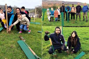 Manchester News: पावन एमएसजी अवतार महीने की खुशी में मैनचेस्टर की साध संगत ने लगाए 1100 पौधे