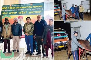 संगरूर डेरा श्रद्धालुओं ने की मन्दबुद्धि युवक व समाना डेरा श्रद्धालुओं ने की बीमार गाय की संभाल