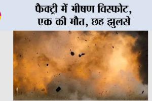 Telangana News: फैक्ट्री में भीषण विस्फोट, एक की मौत, छह झुलसे