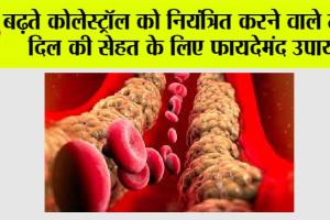 Cholesterol: बढ़ते कोलेस्ट्रॉल को नियंत्रित करने वाले तेल, दिल की सेहत के लिए फायदेमंद उपाय