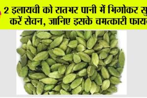 Elaichi Water Benefits: 2 इलायची को रातभर पानी में भिगोकर सुबह करें सेवन, जानिए इसके चमत्कारी फायदे