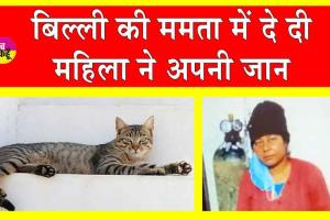 मरी बिल्ली जिंदा नहीं हुई तो महिला ने दे दी जान!