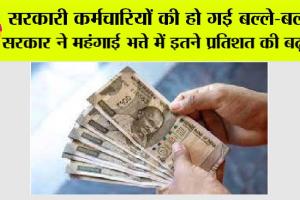 DA Hike: सरकारी कर्मचारियों की हो गई बल्ले-बल्ले, सरकार ने महंगाई भत्ते में इतने प्रतिशत की बढ़ोतरी