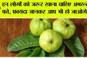 Guava Leaves: इन लोगों को जरूर खाना चाहिए अमरूद के पत्ते, फायदा जानकर आप भी हो जाओगे दंग