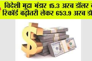 Foreign Exchange Reserves: विदेशी मुद्रा भंडार 15.3 अरब डॉलर की रिकॉर्ड बढ़ोतरी लेकर 653.9 अरब डॉलर