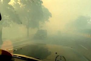 Noida Fire News: नोएडा डंपिंग यार्ड में लगी भयंकर आग, बुझाने में लग सकता है 4-5 दिन का समय