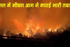 South Korea Wildfires: जंगल में भीषण आग से मचा हाहाकार, हुई बड़ी तबाही