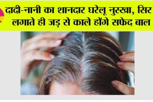 White Hair: दादी-नानी का शानदार घरेलू नुस्खा, सिर पर लगाते ही जड़ से काले होंगे सफेद बाल, चुटकियों में करें तैयार