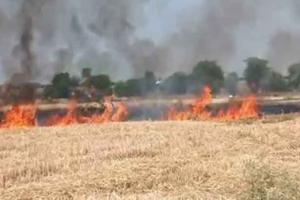 Greater Noida Fire: ग्रेटर नोएडा के इस गांव में लगी भयंकर आग