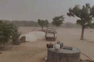 Rajasthan Weather Update: फिर परेशान करेगी हीटवेव, इस दिन तेज आंधी के साथ आएगी भारी बारिश!