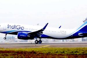 Heavy Rains: गोवा में भारी बारिश, इंडिगो ने जारी की ट्रैवल एडवाइजरी, यात्रा से पहले ये सब जानना जरूरी