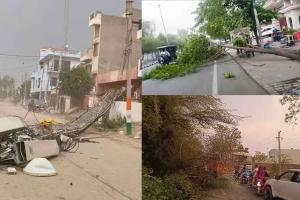 Haryana Weather: अचानक चली धूल भरी तेज हवाएं, पेड़ गिरे, सड़के जाम, बिजली गुल