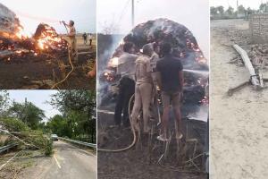 आंधी और तूफ़ान में 642 पेड़ गिरे, 800 बिजली के खंभे गिरे…दोपहर बाद तक लगे रहे बिजली विभाग और वन विभाग के कर्मचारी