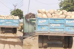 Khizrabad News: ताजेवाला यमुना नदी से पत्थर का अवैध खनन