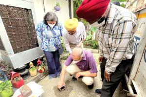 न्यू कैलाश नगर में सेहत मंत्री बलवीर सिंह का निरीक्षण, कई घरों में मिला डेंगू लारवा