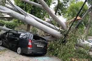 गर्मी से राहत: तेज आंधी के साथ हुई बरसात, कई जगह ओलावृष्टि भी