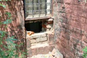 Punjab National Bank: अज्ञात चोर ने पीएनबी बैंक की दीवार तोड़कर की सेंधमारी