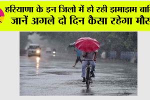 Haryana Rain News: हरियाणा में बदला मौसम का मिजाज, जानें अगले दो दिन कैसा रहेगा मौसम