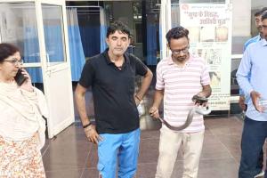 Snake News: नागरिक अस्पताल में सांपों के मिलने से कर्मचारी और मरीजों में दहशत का माहौल