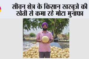 Kisan News: सीवन क्षेत्र के किसान खरबूजे की खेती से कमा रहे मोटा मुनाफा