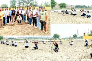 Tree Plantation: सेवादारों ने पौधारोपण कर धरती को दिया हरियाली का तोहफा