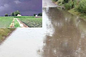 मौसमी रंग: पंजाब के आधा दर्जन जिलों में बरसे बदरा