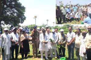 Tree Plantation: विश्व पर्यावरण दिवस पर जिला गंगा समिति द्वारा किया वृक्षारोपण