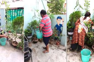 विश्व पर्यावरण दिवस पर प्रकृति की संभाल का संकल्प