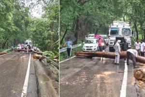 हरियाणा के इस जिले में लगा लंबा जाम, जानिए…