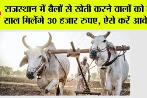Rajasthan Government News: राजस्थान में बैलों से खेती करने वालों को हर साल मिलेंगे 30 हजार रुपए, ऐसे करें आवेदन