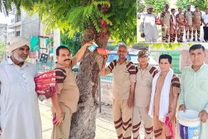 रतिया की साध-संगत ने भीषण गर्मी को देखते हुए पक्षियों के लिए चुग्गा-दाना व पानी  की व्यवस्था की