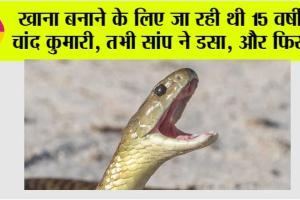 Snake: खाना बनाने के लिए जा रही थी 15 वर्षीय चांद कुमारी तभी सांप ने डसा, और फिर …