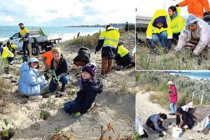 Australia: पर्थ के सेवादारों ने धरा को दी हरियाली की सौगात, लगाए 4400 पौधे