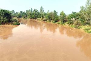 Ghaggar Water Level: घग्गर नदी में बढ़ने लगा पानी का स्तर, किसानों की बढ़ी चिंता