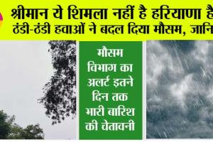 Haryana Rain: श्रीमान ये शिमला नहीं है हरियाणा है… ठंडी-ठंडी हवाओं ने बदल दिया मौसम, इतने दिन झमाझम बारिश