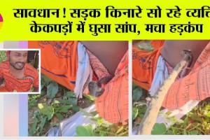 सावधान! सड़क किनारे सो रहे व्यक्ति के कपड़ों में घुसा सांप, मचा हड़कंप, वीडियो देख आप भी हो जाआगे हैरान
