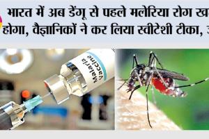 भारत में अब डेंगू से पहले मलेरिया रोग खत्म होगा, वैज्ञानिकों ने कर लिया स्वीटेशी टीका, जानें