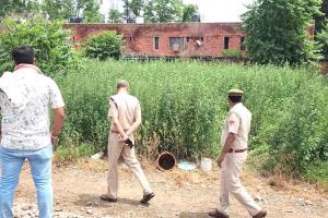 रोहतक में महिला की बेरहमी से की गई हत्या