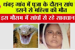 थंबड़ गांव में पूजा के दौरान सांप के डसने से महिला की मौत
