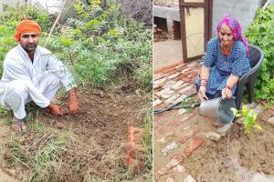 कृष्ण इन्सां ने अपने पिता की पुण्य तिथि पर लगाया पौधा